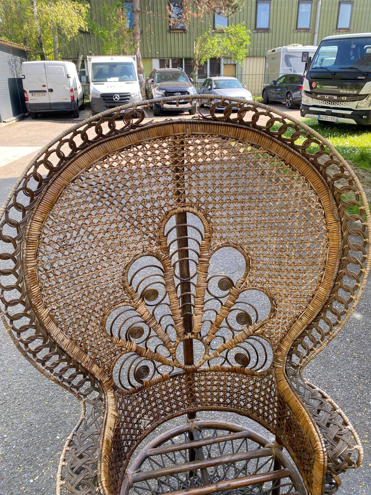 Emmanuelle peacock chair in rattan and wicker