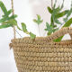 Hanging baskets made of natural fiber