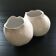 Double organic shaped vase