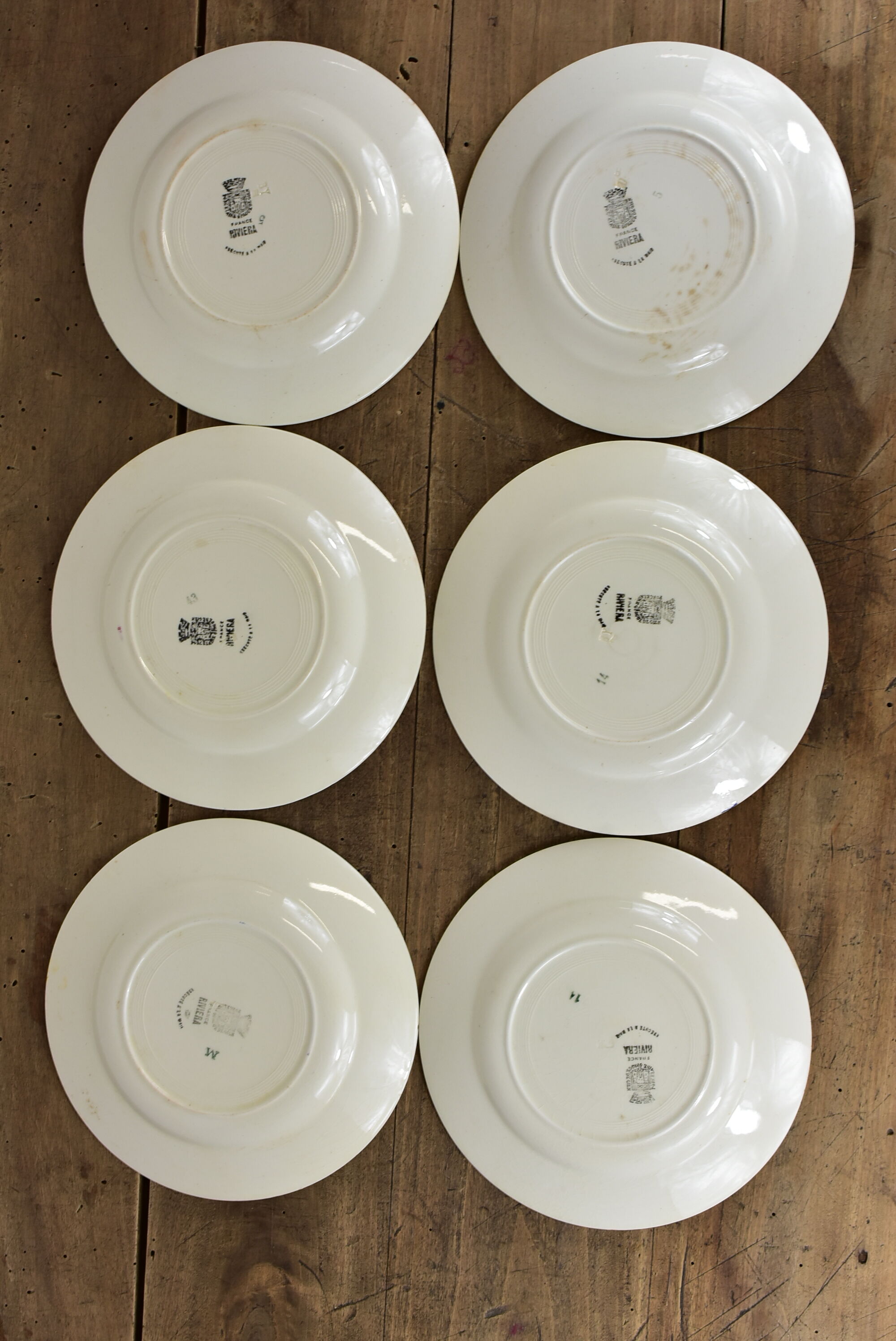 Lot de 12 assiettes motif fleurs de champagne.