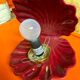 Burgundy ceramic shell lamp