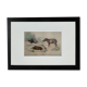 Planche zoologique originale " porc-épic, urson, tapir - buffon 1838