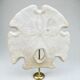 Old test of white sand dollar sea urchin on a wooden base curiosities