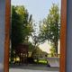 Beveled Ice Pine Door Mirror 64X120
