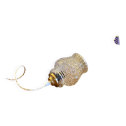 Antique globe pendant lamp with transparent glass and brass suspension claw LAMP-7384