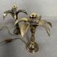 Lampe de table vintage en palmier – Willy Daro pour Massive – années 1970