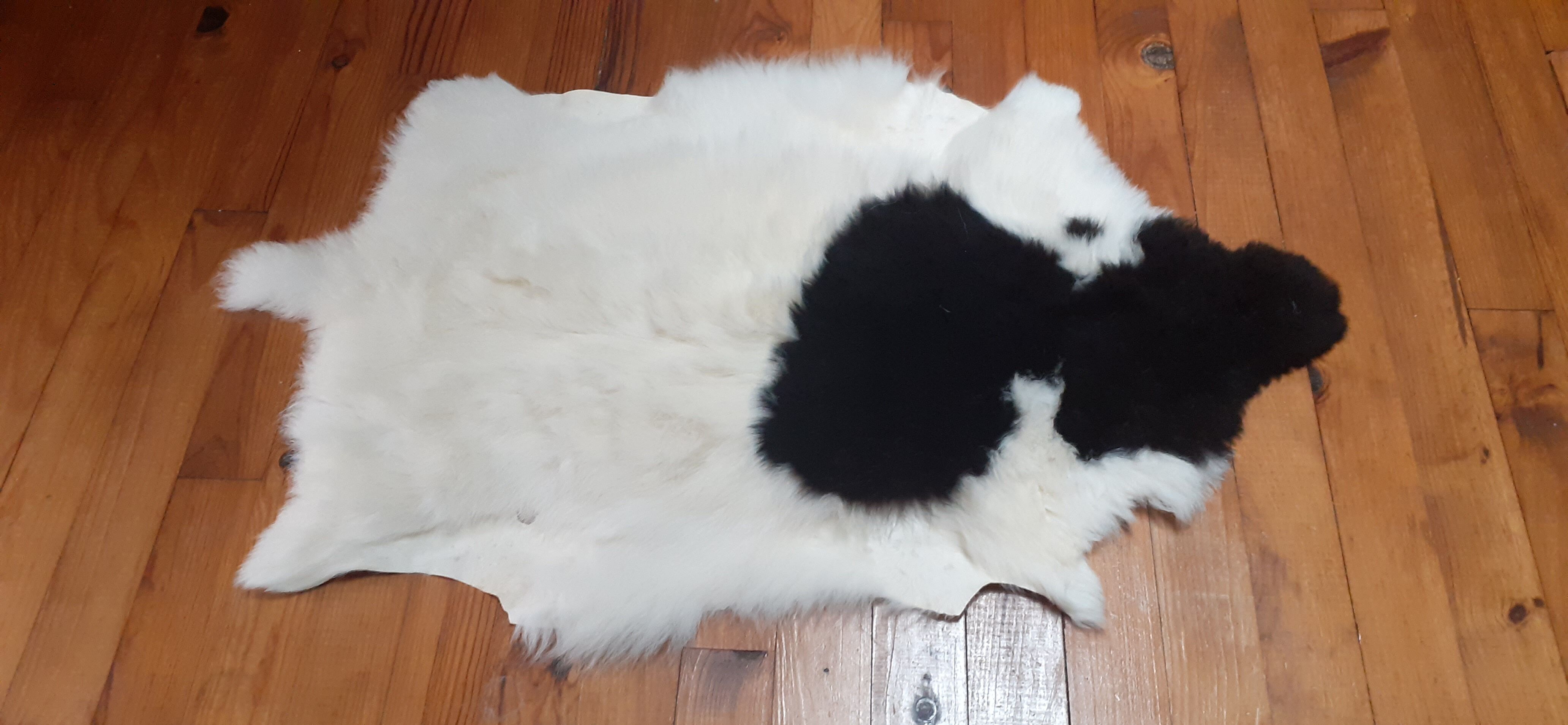 New sheepskin