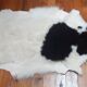 New sheepskin