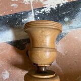 Medici vase in olive tree