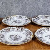 Set of 6 plates plus 1 in English porcelain, early 20th century
