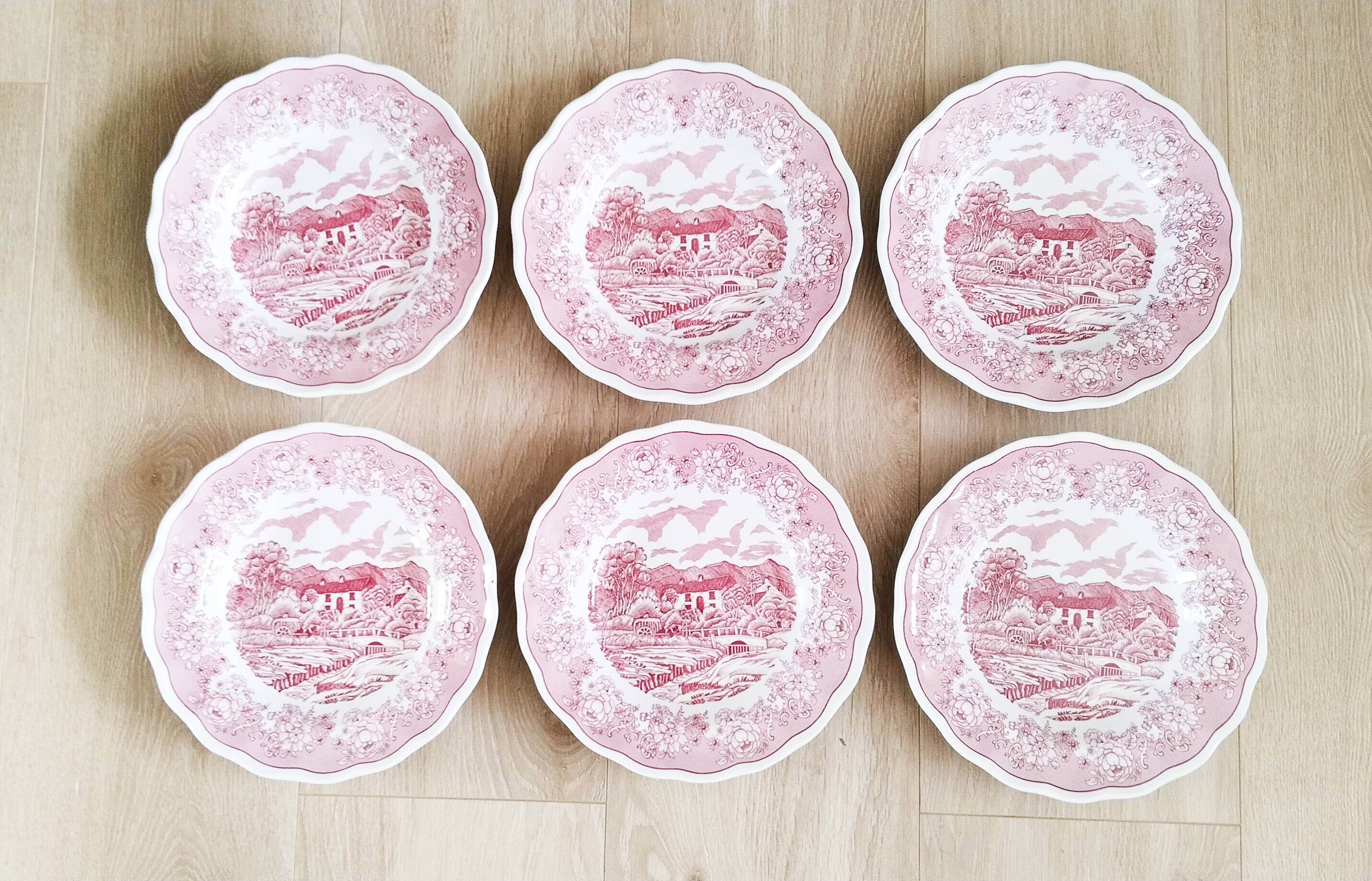 6 Italian English porcelain soup plates: Swiss Landscape