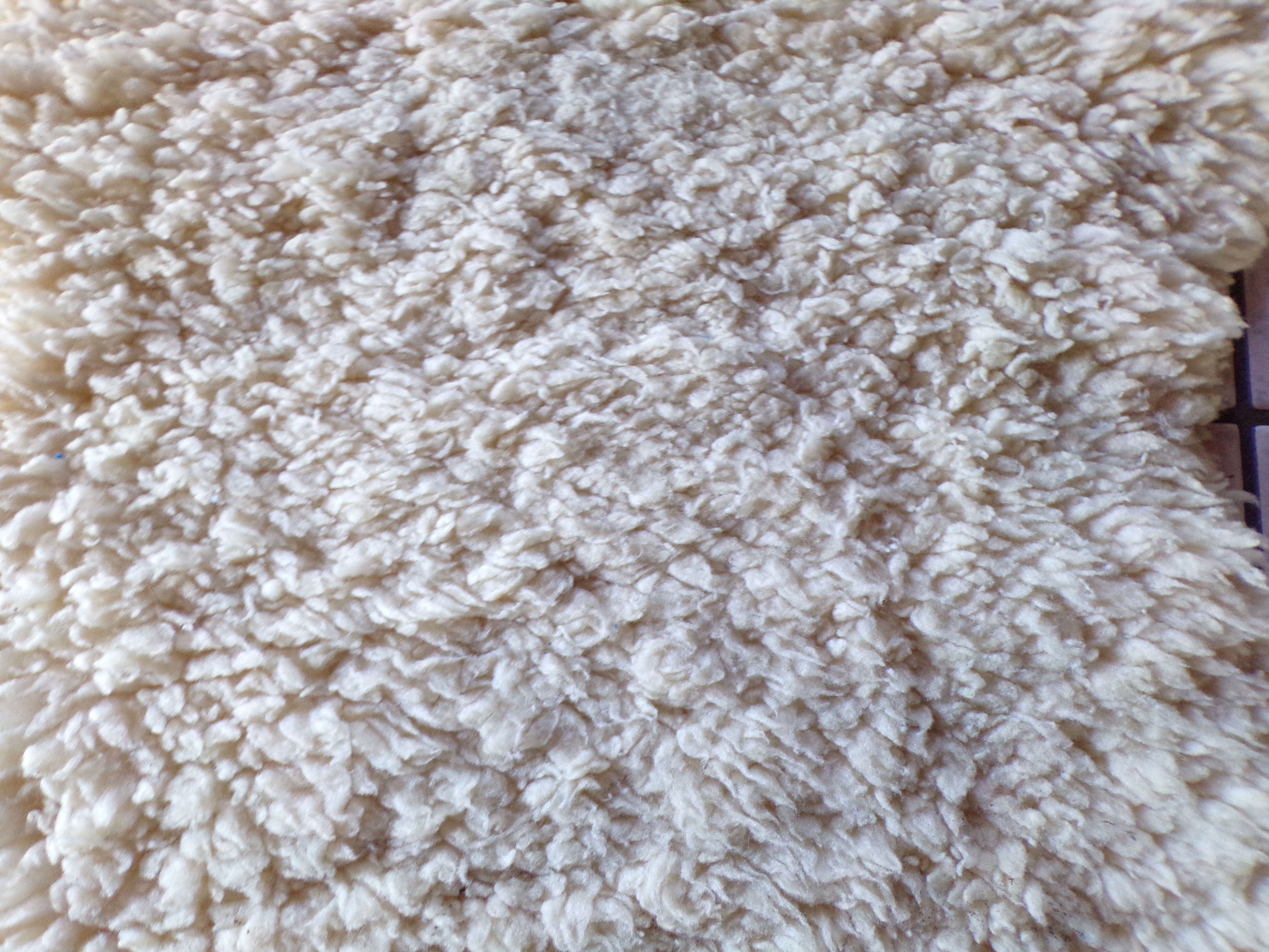 Peaux de moutons