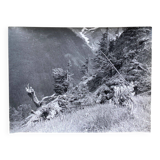 Silver photo Bernard Darot XXth Spring in the mountains
