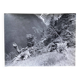Silver photo Bernard Darot XXth Spring in the mountains