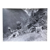 Photo argentique Bernard Darot XXe Printemps en montagne