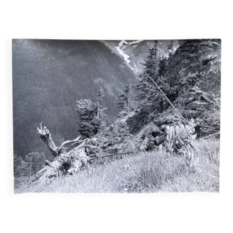 Silver photo Bernard Darot XXth Spring in the mountains