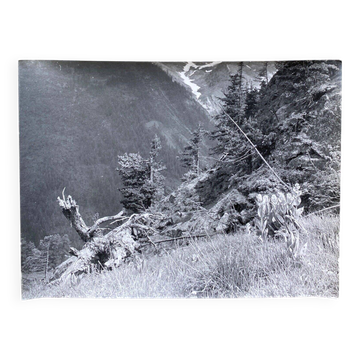 Photo argentique Bernard Darot XXe Printemps en montagne