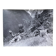 Silver photo Bernard Darot XXth Spring in the mountains