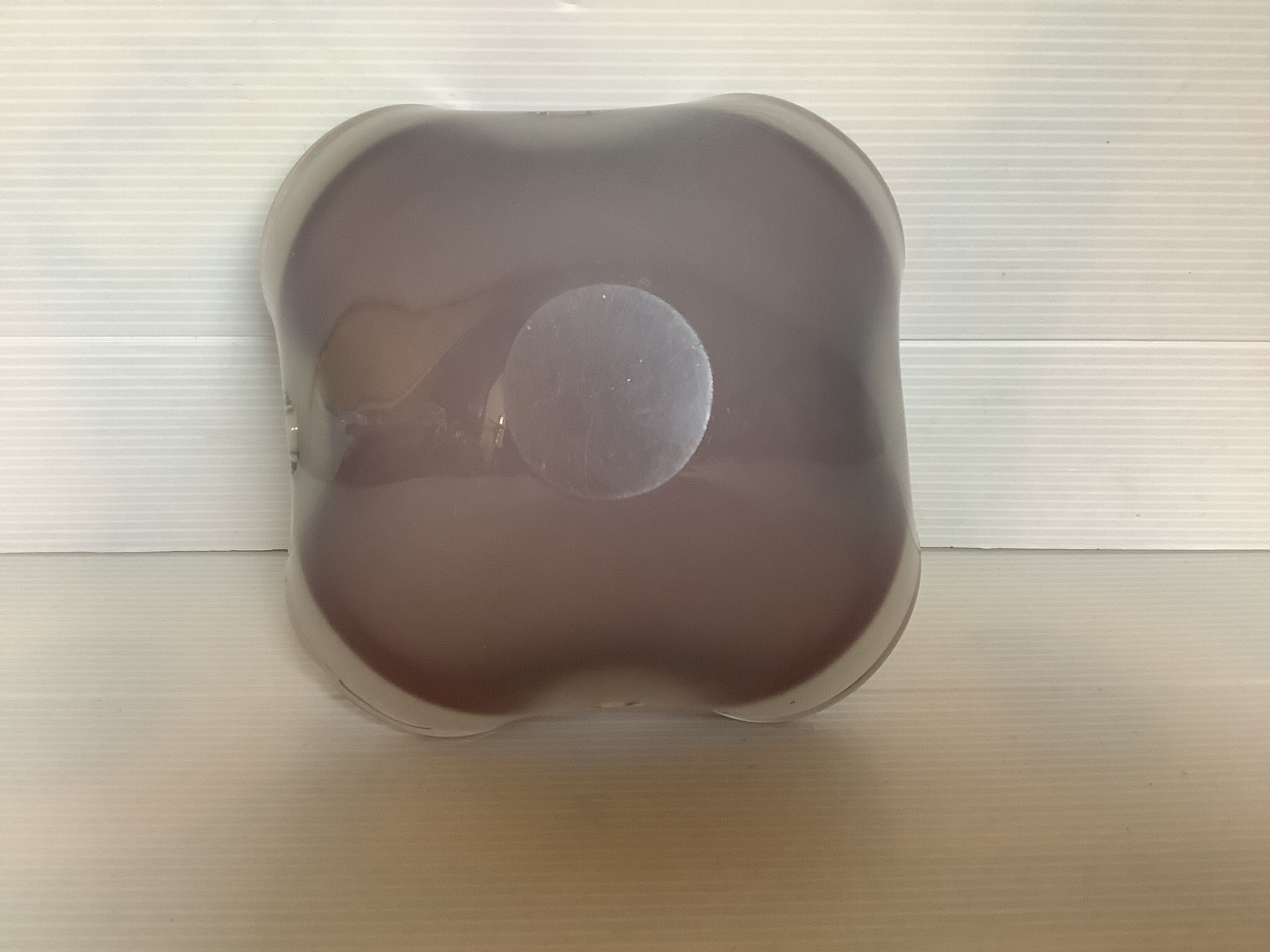 Empty pocket flower in glass paste purple