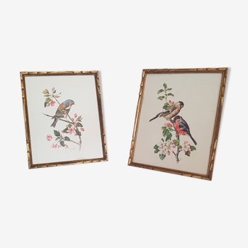 Bird frames 32 x 26 cm