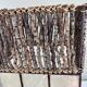 Capiz shell lamp and woven twigs