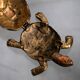 Golden brass turtle in decorative ashtray