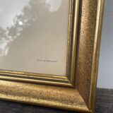 Ornithological engraving golden frame bird