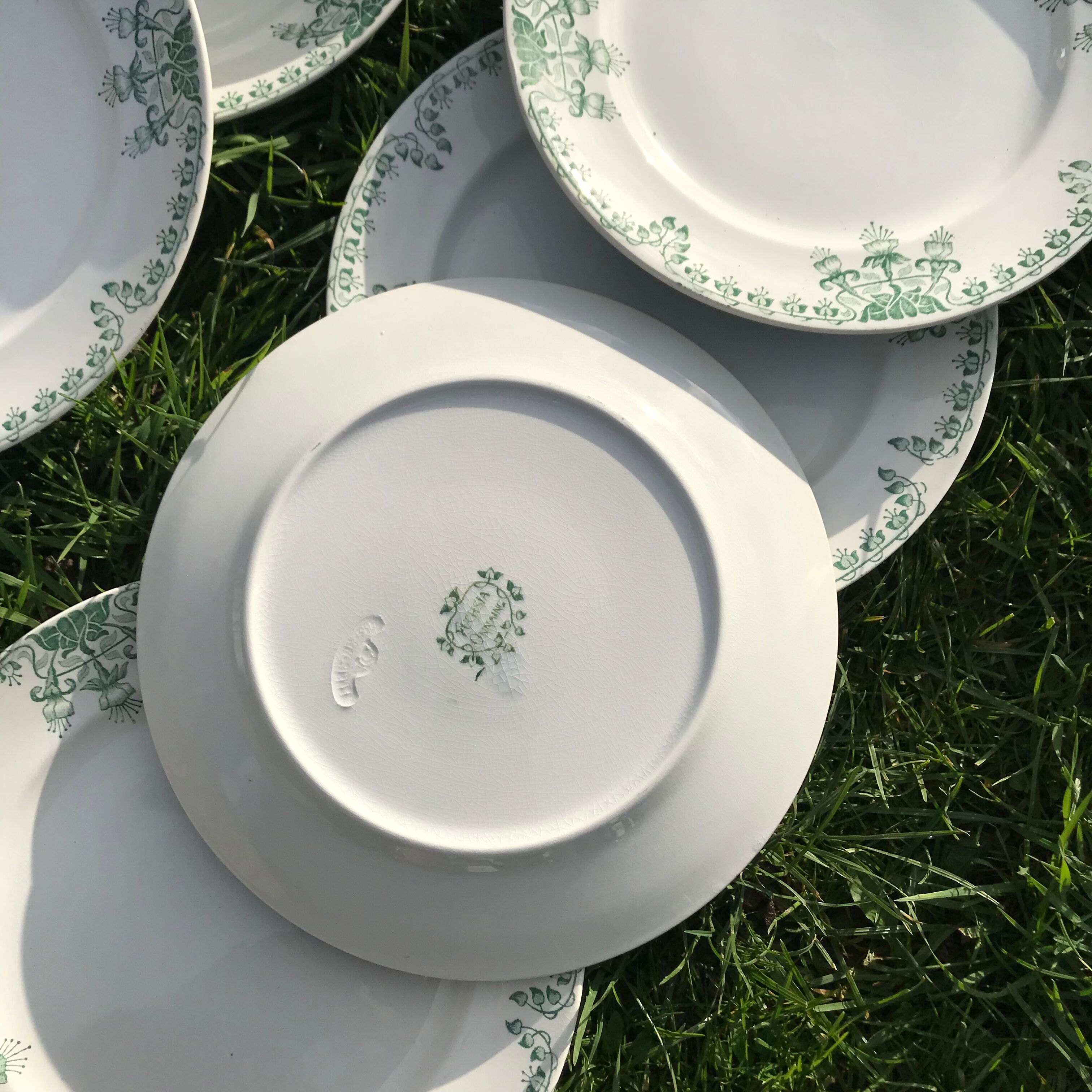 Set of 10 vintage plates iron model Fushia / Onnaing
