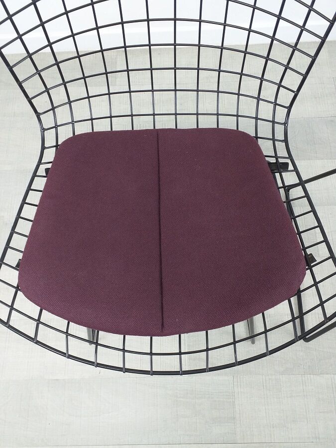 Chair Wire design Harry Bertoia Knoll 70s vintage