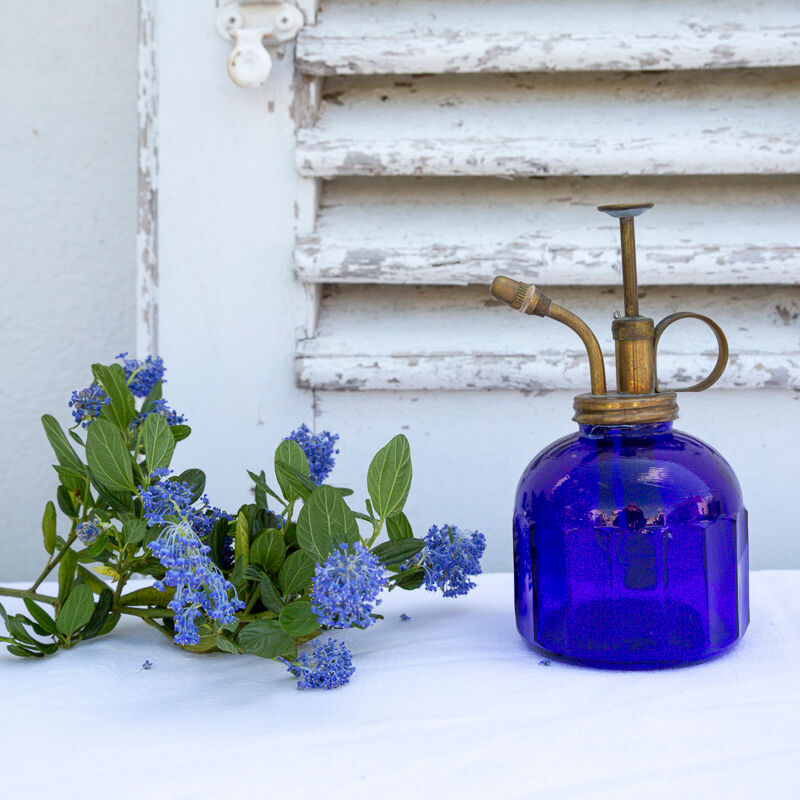 Old plant spray or burette