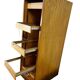 Vintage curtain wardrobe / archive cabinet with file supports