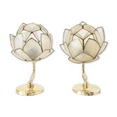 C/Pair of mother-of-pearl flower and brass sconces