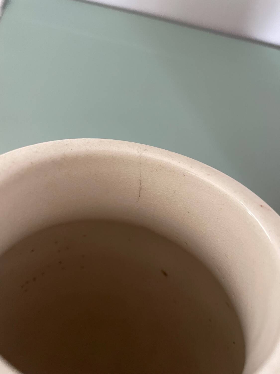 Pair of antique vases with butterfly and flower motif.