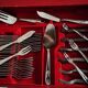 Complete 124-piece 2-drawer cutlery set Ascinox