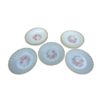 Set of hollow plates/dessert Vintage Termocrisa Mexico in opaline 60s