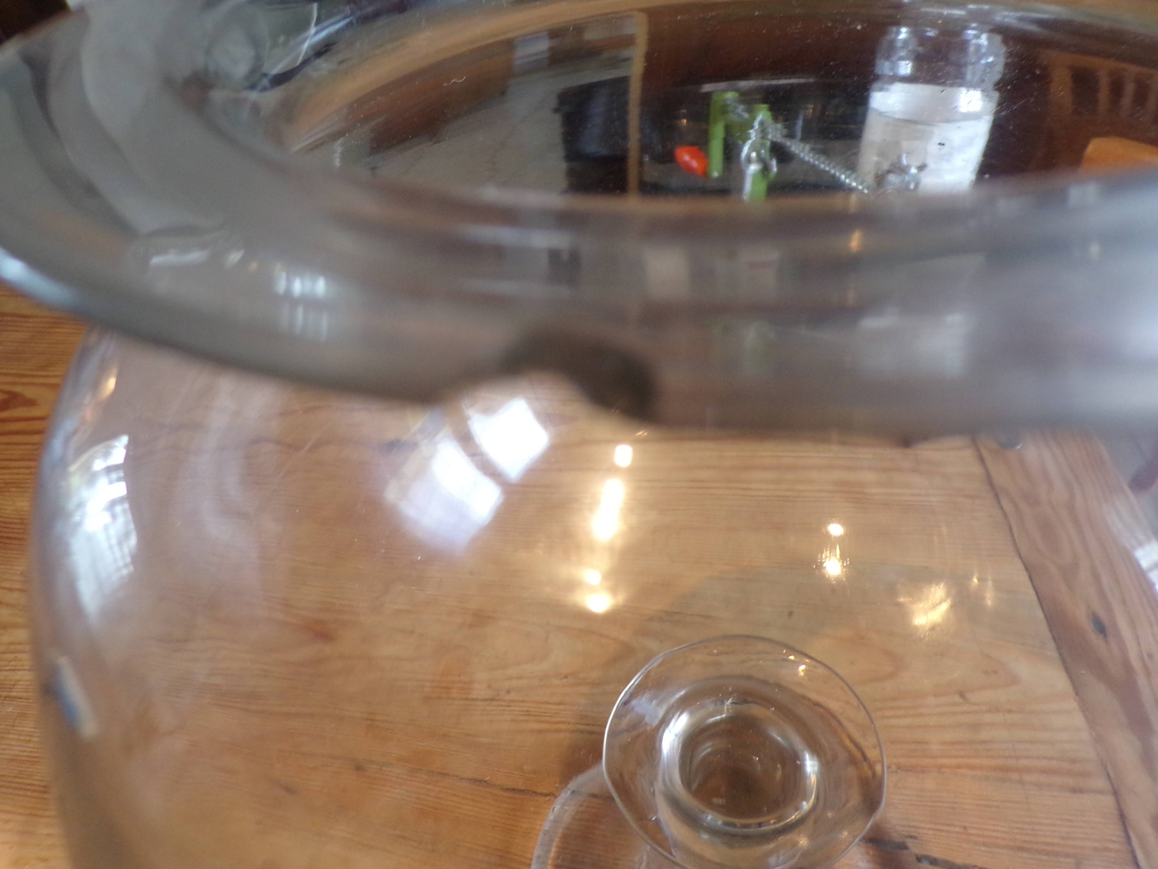 Leech jar glass 19th