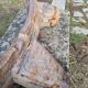 Tabouret ancien