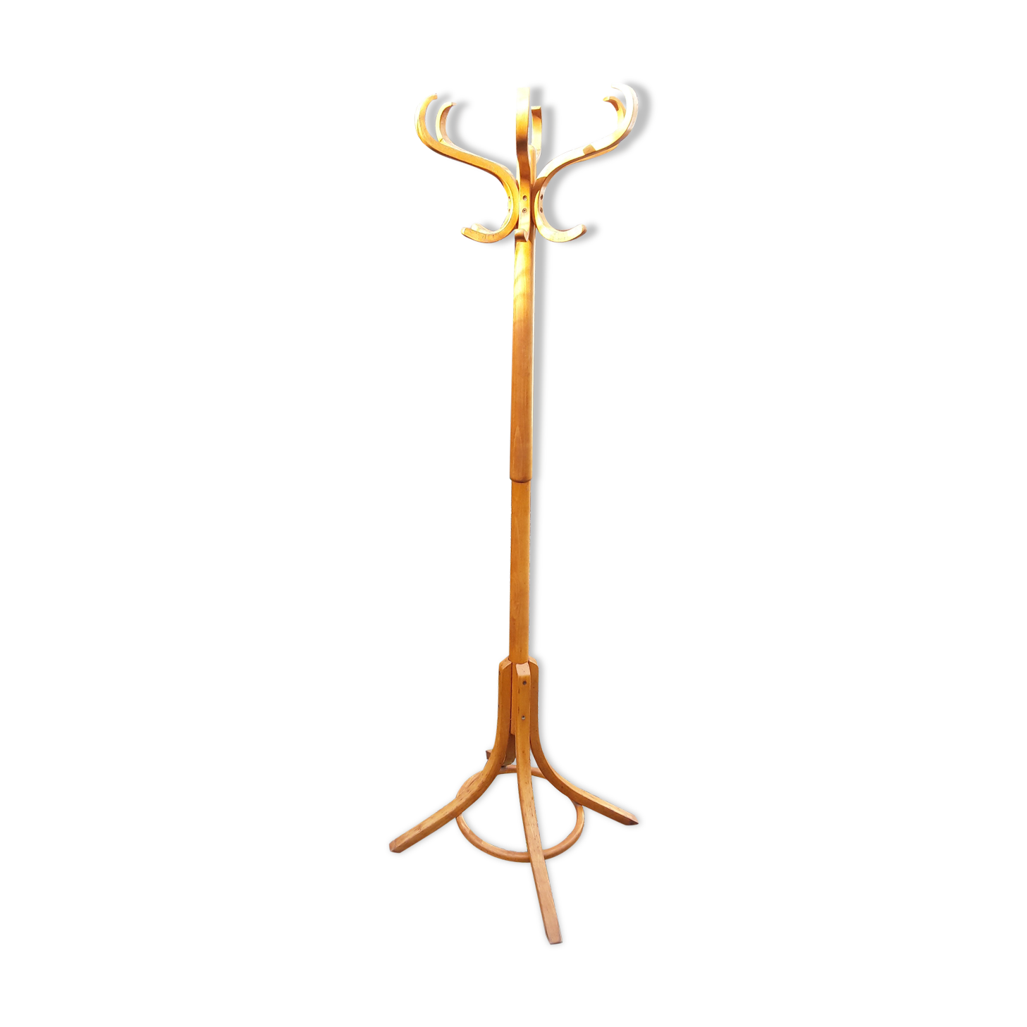 Baumann parrot coat holder