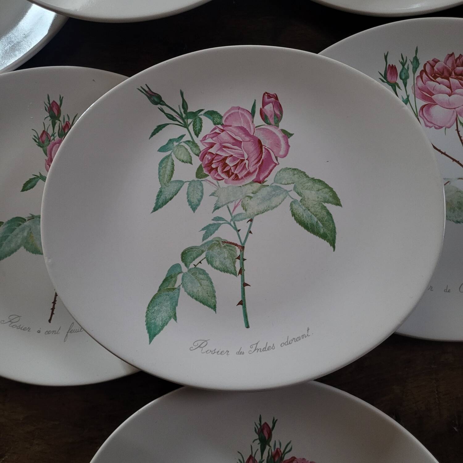 8 oval plates Salins – 1970s – Botanical roses