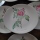 8 oval plates Salins – 1970s – Botanical roses