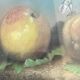 Pastel on paper signed V. Belot 19th century "Still Life with Butterflies"