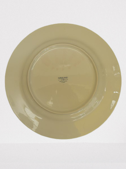 Plates Haviland ocean model