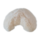Corail blanc ancien 18 cm