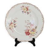 Vintage polychrome ironstone plate Bisto England - Anson model