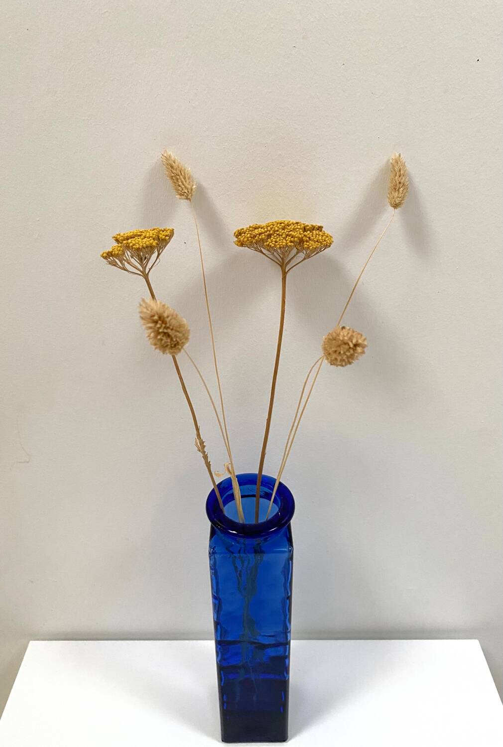 XXL jar in cobalt blue glass