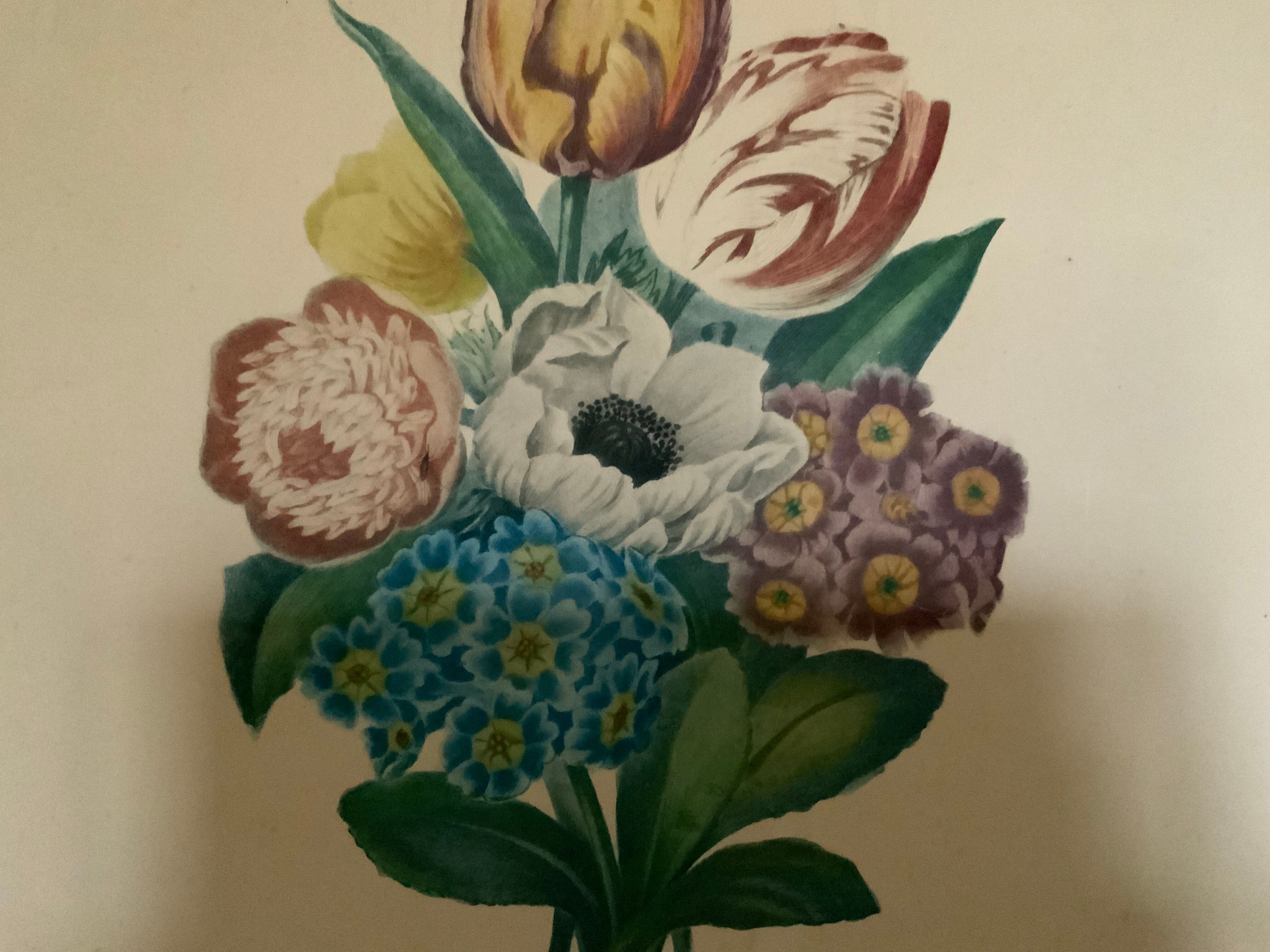 Pair of plates or botanical engravings XVIII