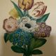 Pair of plates or botanical engravings XVIII