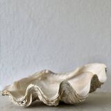 Clam shell