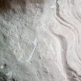 Bust of Prophet in plaster