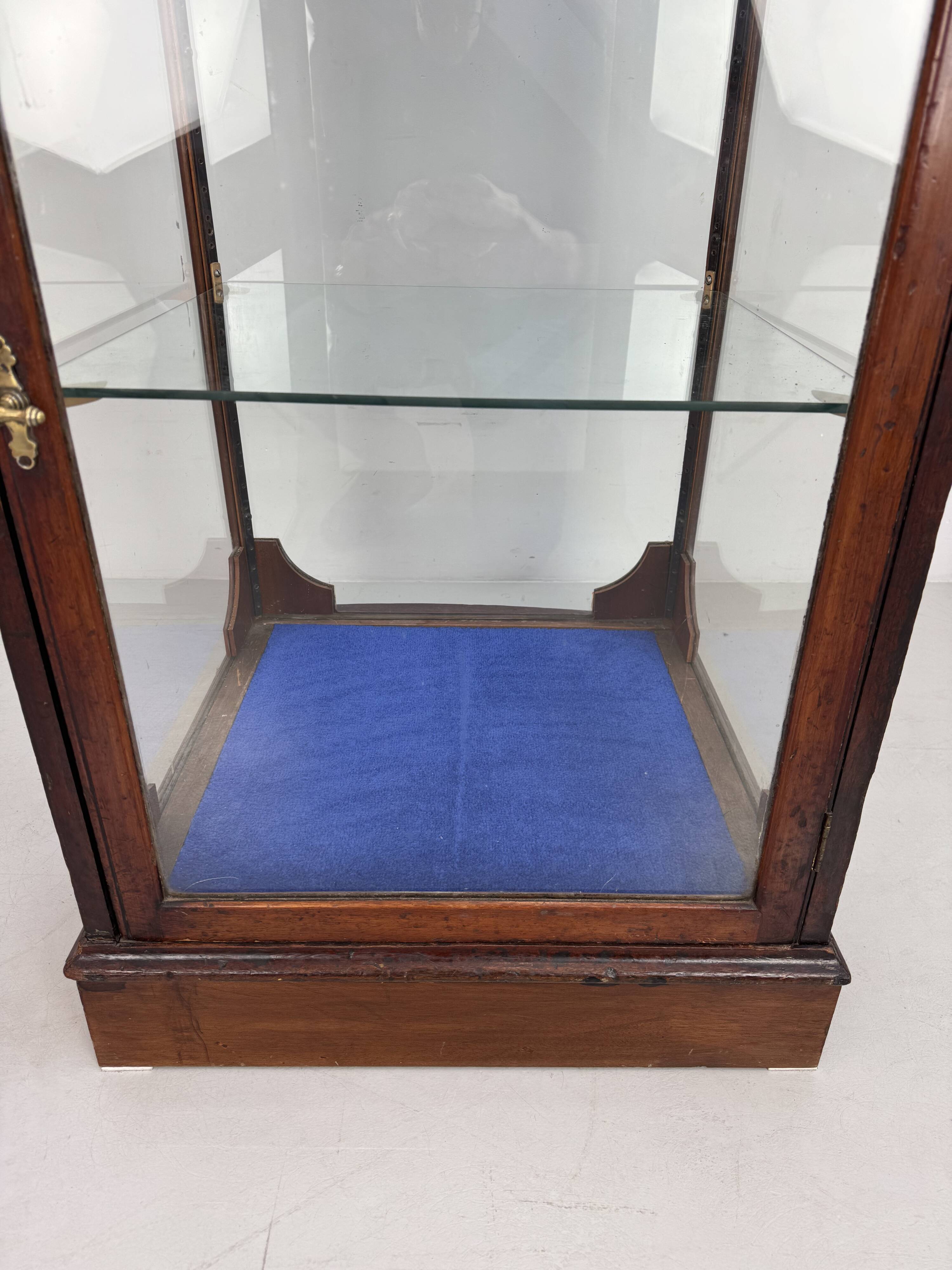 Beautiful mahogany museum display cabinet from England, circa 1925.